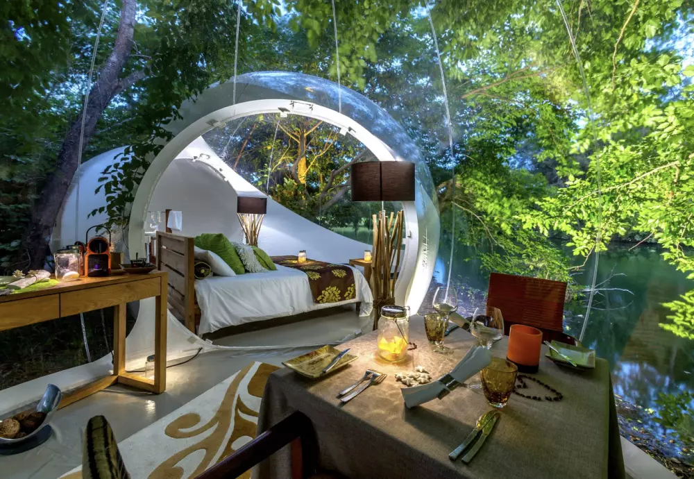 innovative transparent bubble tents